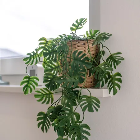 Im Neubau Appartement