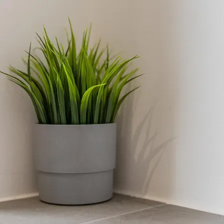 Appartement Im Neubau